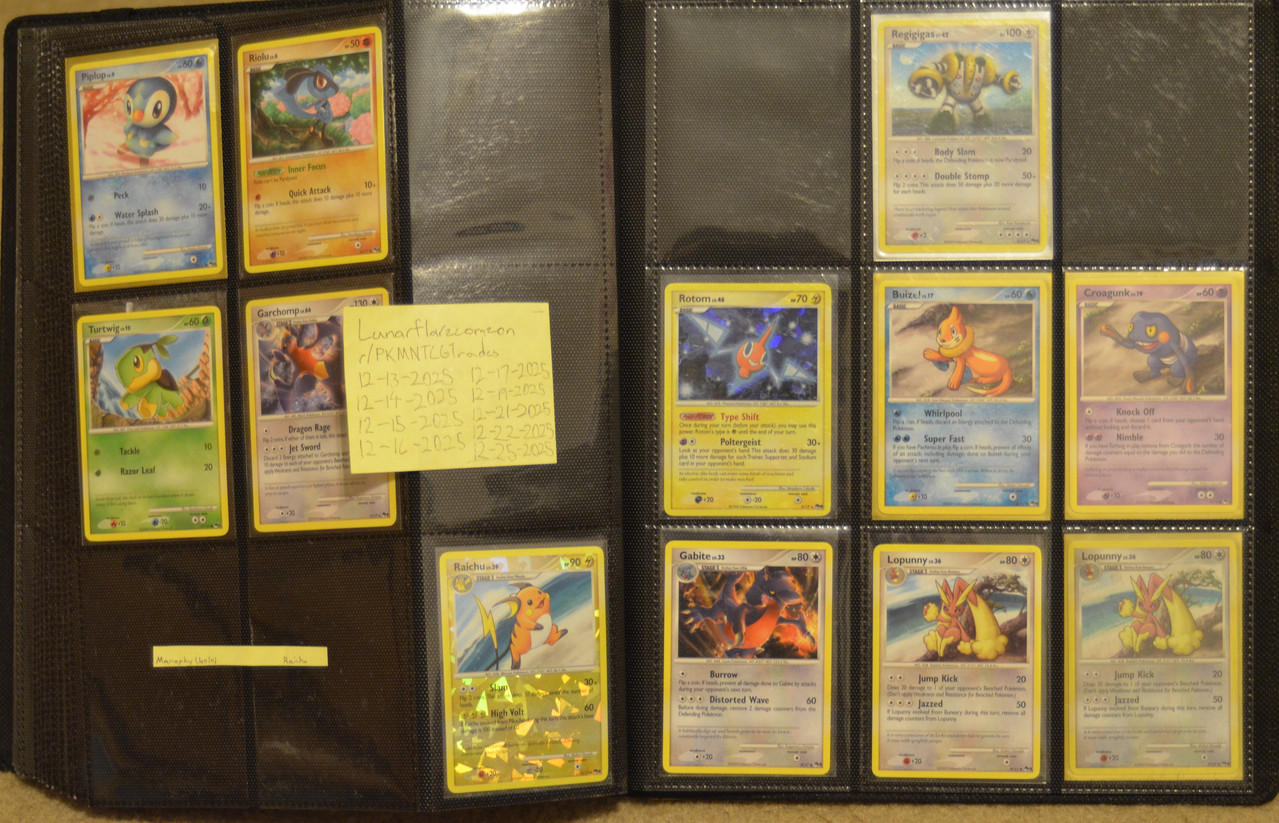 vander j meintel binder (320)