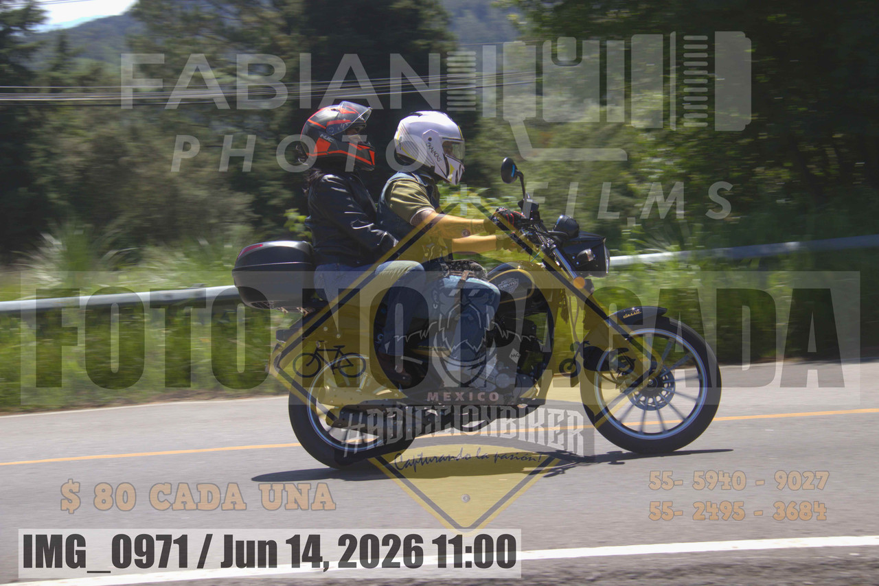 IMG 0971
