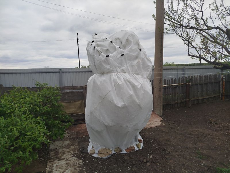 photo-2025-04-27-21-24-28