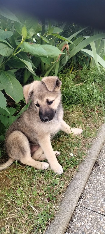 IMG-ad316944b32c28397943b4489726a540-V