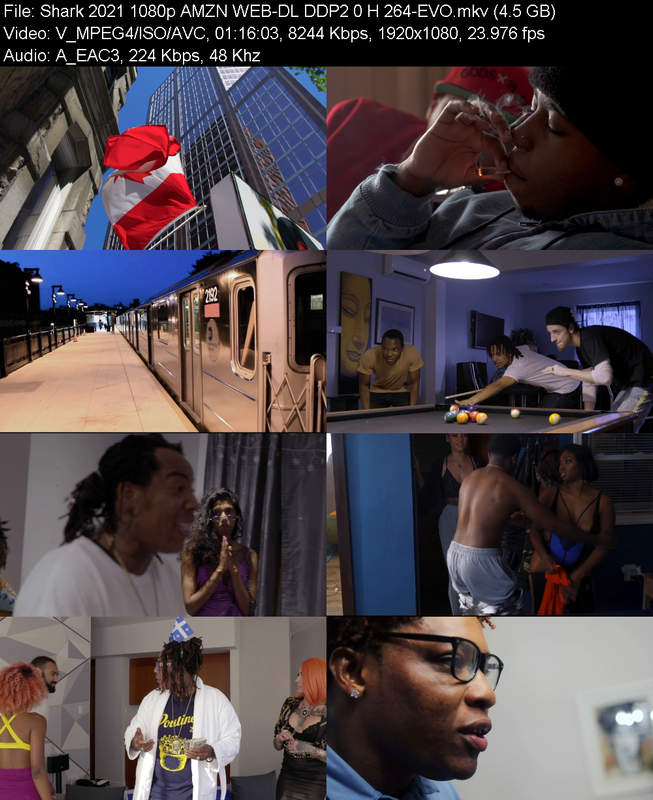 shark-2021-1080p-amzn-web-dl-ddp2-0-h-26