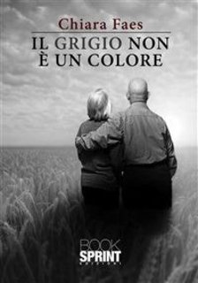 Chiara Faes ─ Il grigio non e' un colore (2012)
