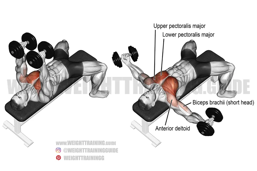 dumbbell-chest-fly