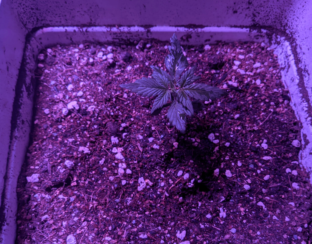 PXL_20210907_172222858_2