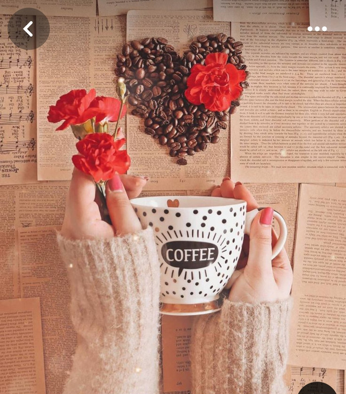 Screenshot_20240609_212807_Pinterest