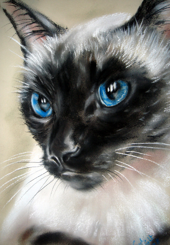 Royal-Blue-by-astarvinartist