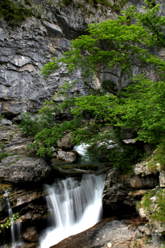 Cañon de Añisclo_2261_04