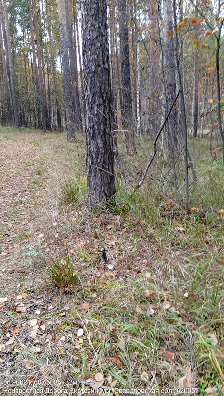 56.90021, 60.66085 (±2м)_01102025_134056