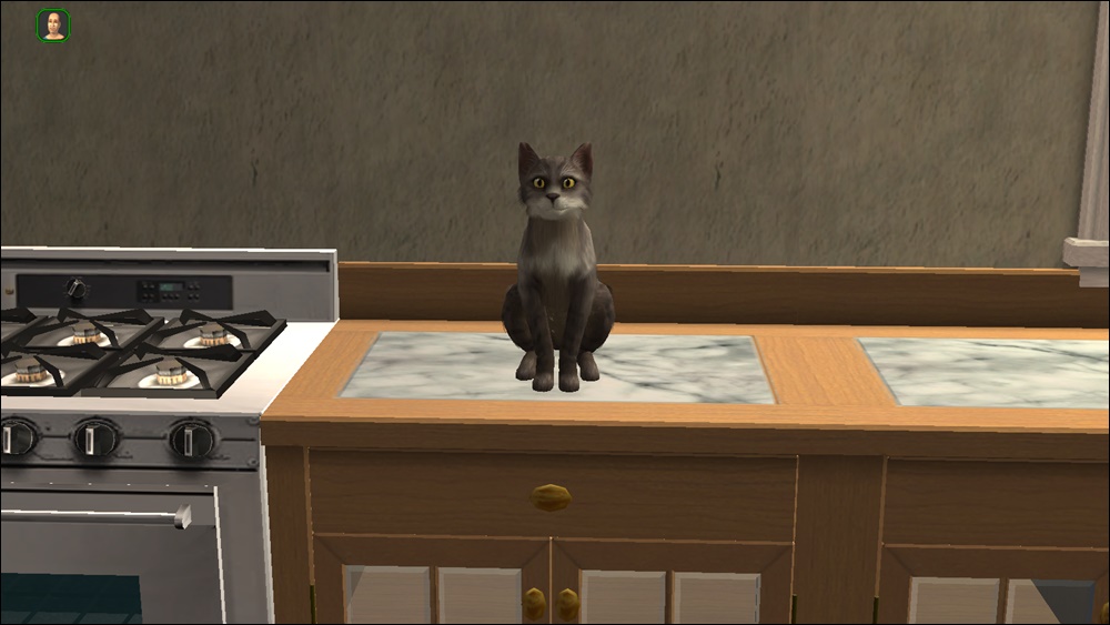 Sims2-EP9-2025-03-28-21-41-16-80.jpg