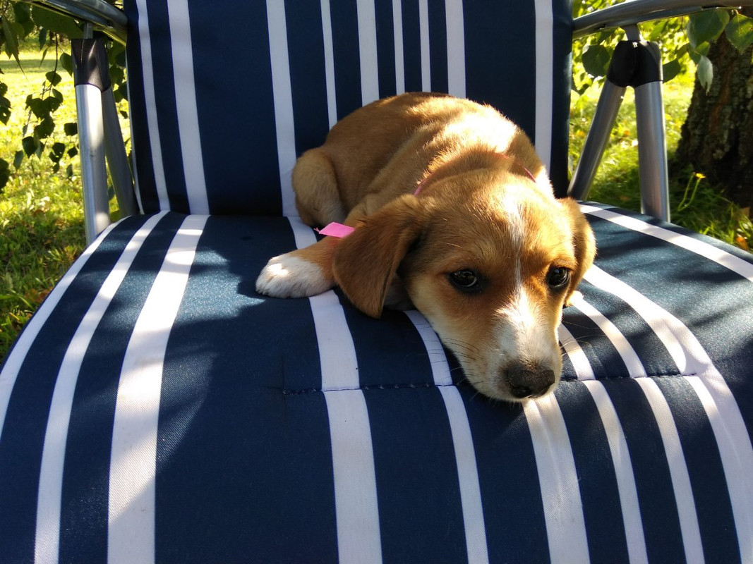 изображение_viber_2019-08-24_17-12-48