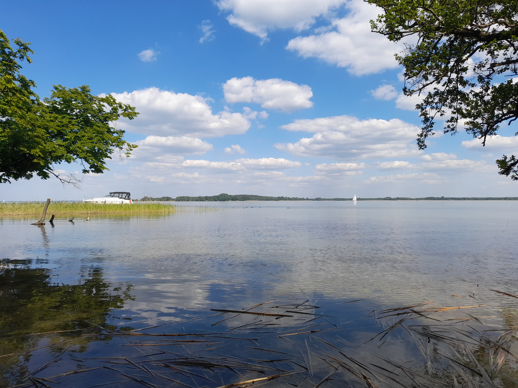 08.38 - 20210603_150818 (Aldona)