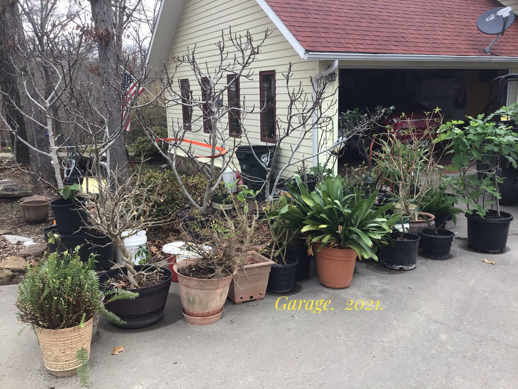 CB094204-D130-481A-86BE-9DF75996FAB4