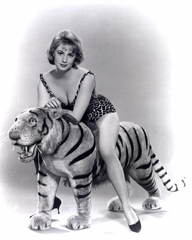 shirley_jones_ma28