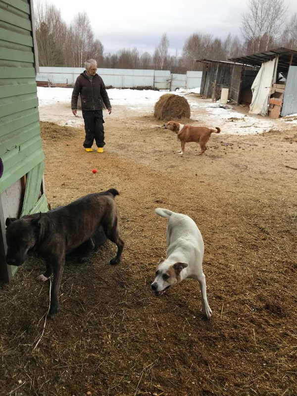 01CD306A-A5D5-42F6-983C-36AFB90EAA06