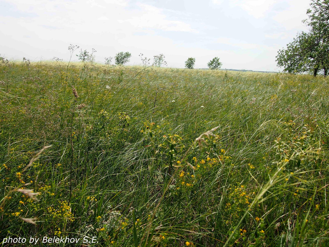 Дивногорье