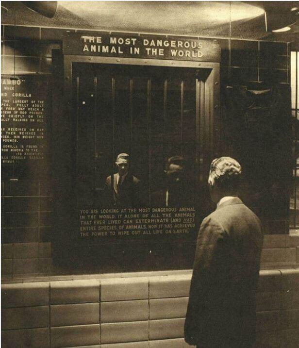 [Изображение: Samoe-opasnoe-zivotnoe-v-mire-Vystavka-v...1960-e.jpg]