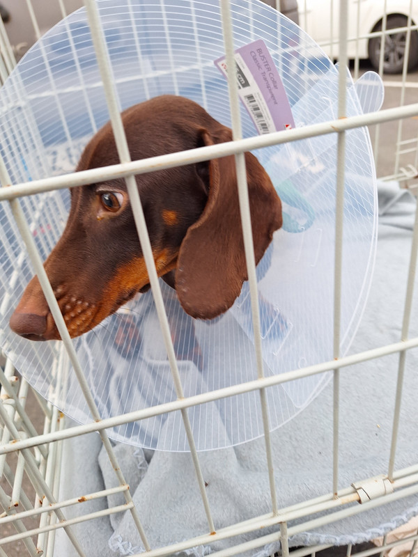 [Image: 20240215-170835.jpg]