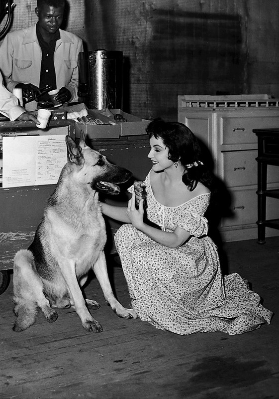 debra paget 374