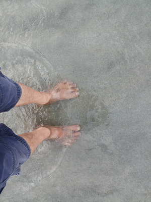 [Image: 20190815-172628.jpg]