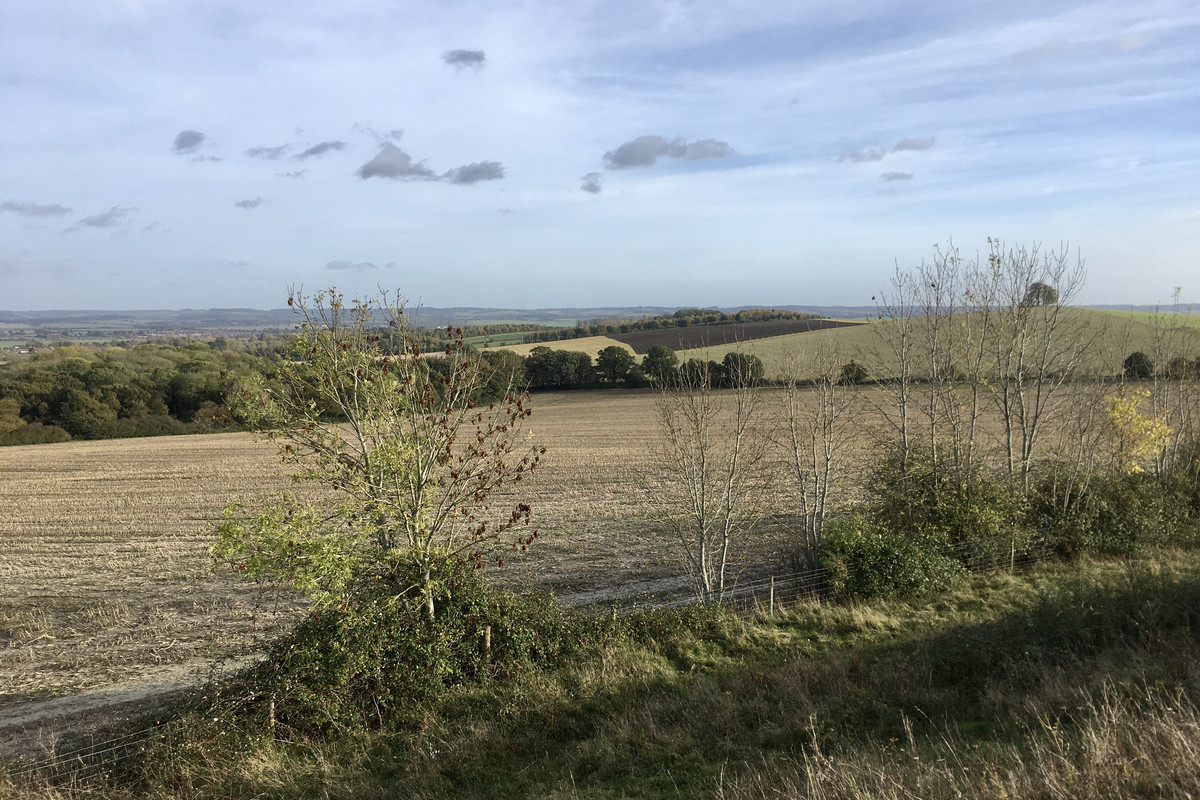 14152891-748E-4D18-B87F-7216805D0D7C