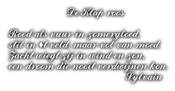 cooltext495676101455183