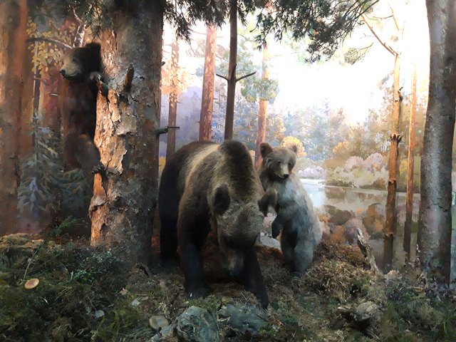 IMG-4757-t4.jpg