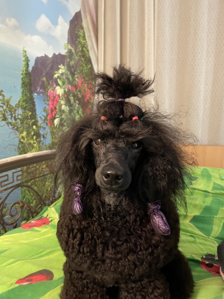 https://i.postimg.cc/MHs9RX33/IMG-6655.jpg
