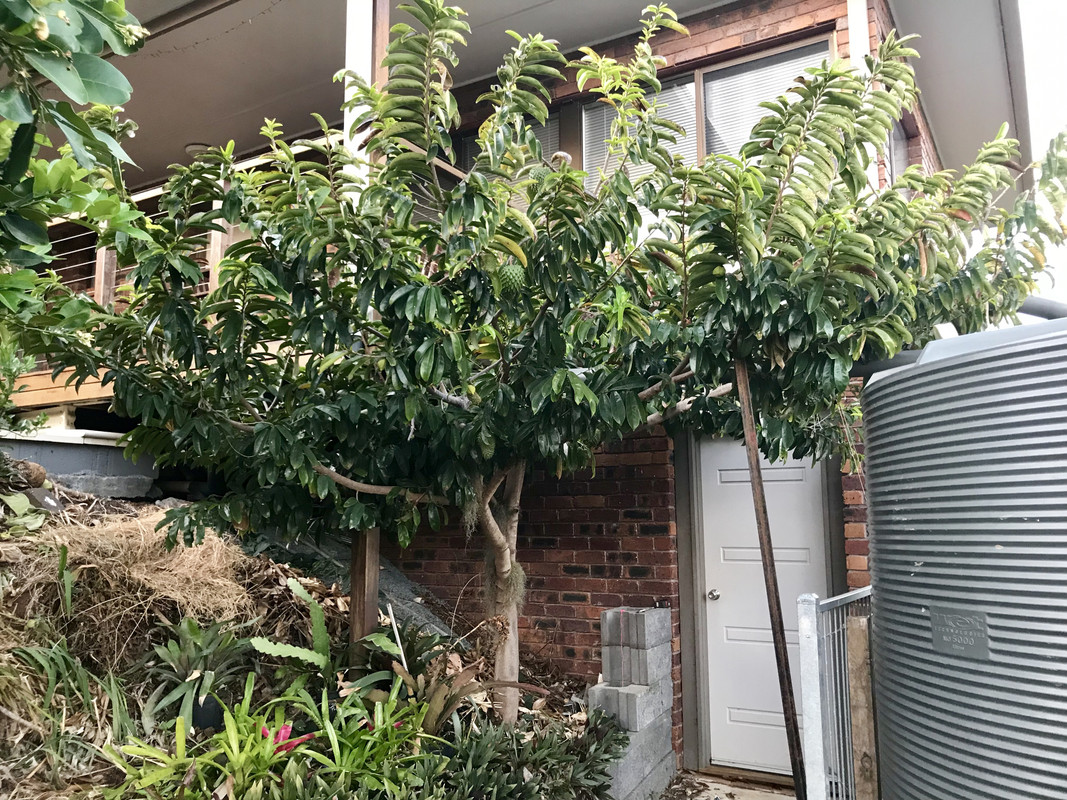 F74E27E2-64E2-4BDA-BE33-A1BA3CA94862