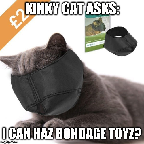 cat-kinky-bondage.jpg