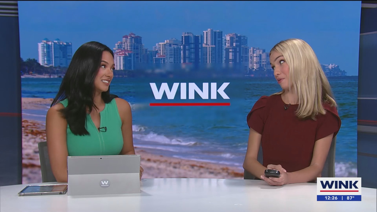 07.02 - 17.00.00 - The WINK Noon News  ᴺᵉʷ. Midday news update..ts_snapshot_27.34.629