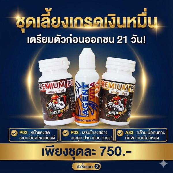 ชุดเลี้ยงเกรดเงินหมื่น (PREMIUM P02+P03+VITA A33)