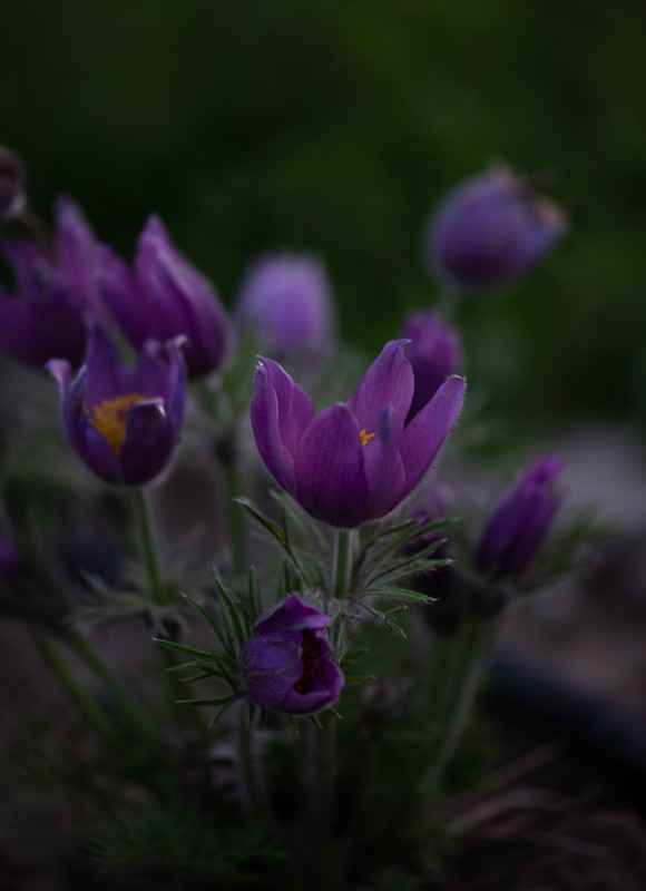 IMG-73e5c545cf217cba183a560d51194c02-V