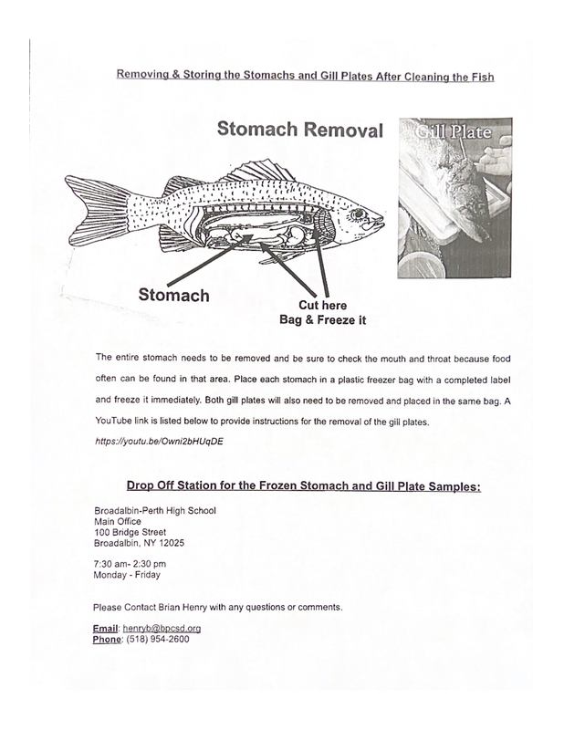 Removing & Storing the Stomachs and Gill Plates After Cleaning the Fish