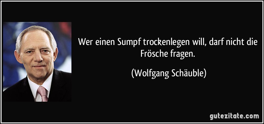 zitat-wer-einen-sumpf-trockenlegen-will-darf-nicht-die-frosche-fragen-wolfgang-schauble-154844.jpg