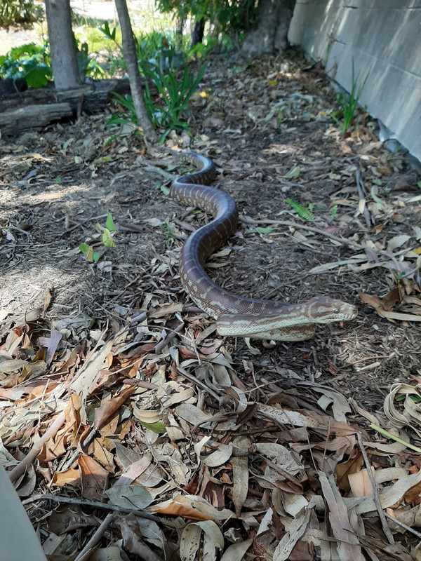 20191118-104541.jpg