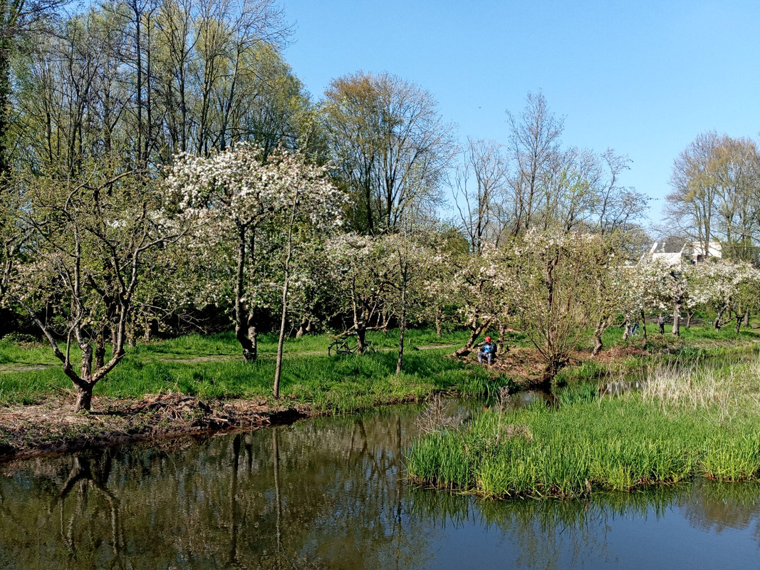 20210427_162014 vòm