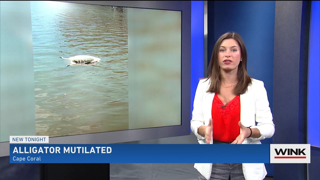 05.30 - 04.00.00 - WINK News @ 11PM Saturday. Local news, sports and ...(1).ts_snapshot_03.07_[2021.
