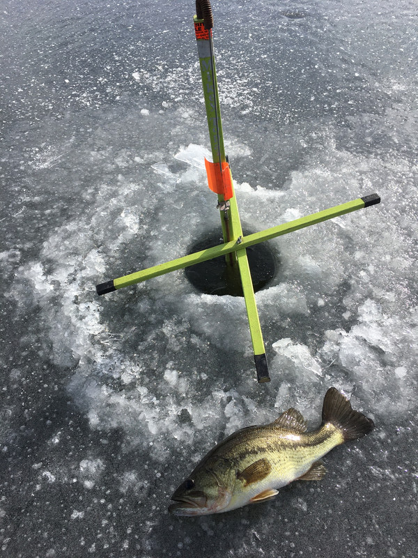 B3132BC0-5296-4B6F-80AA-E6B9E380E9BF