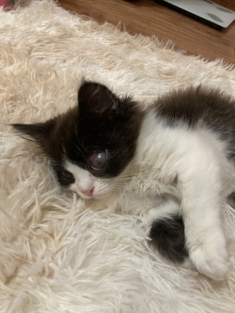 7FE168E5-8DD5-4974-BC3B-7BB36139D7F7