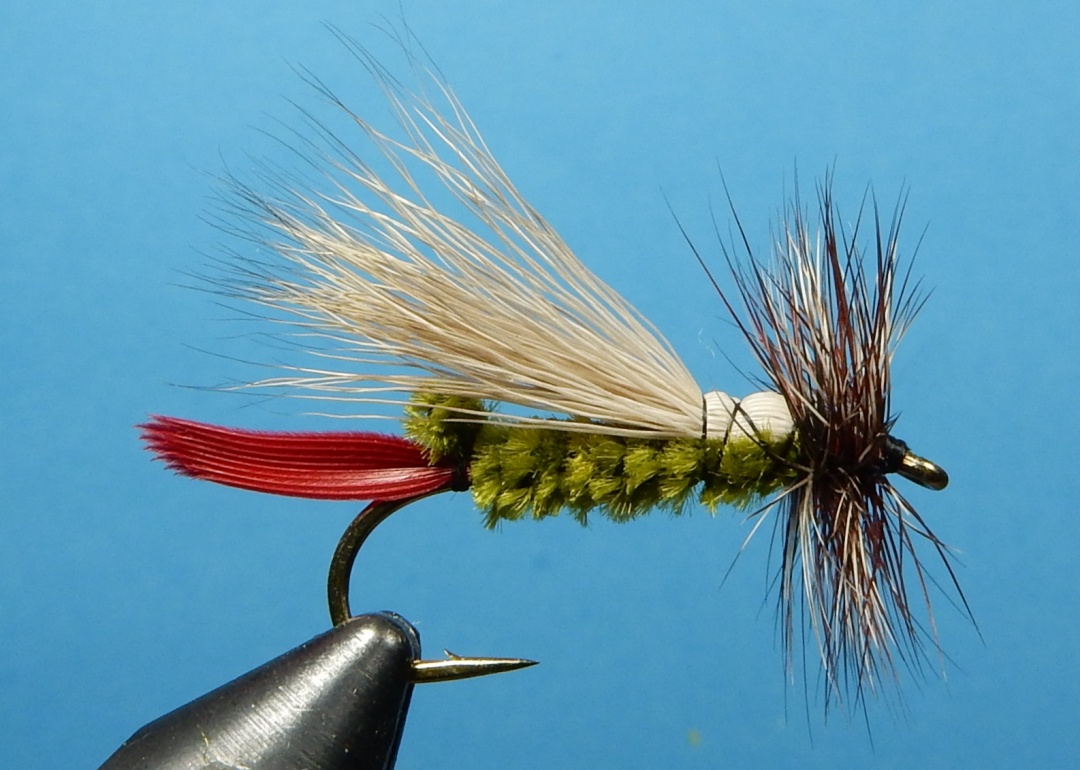 Robert-s-Deer-Hair-Hopper-1080.jpg