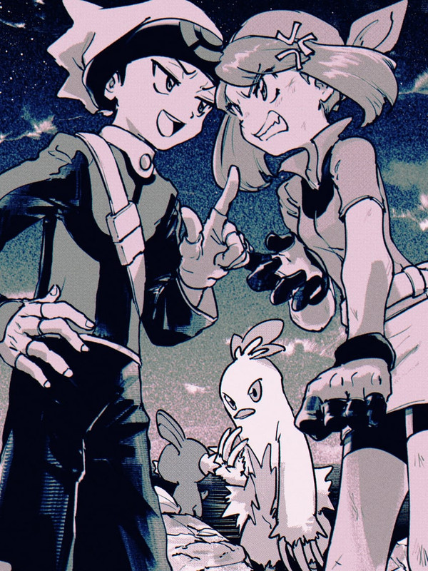 may-brendan-mudkip-and-combusken-pokemon