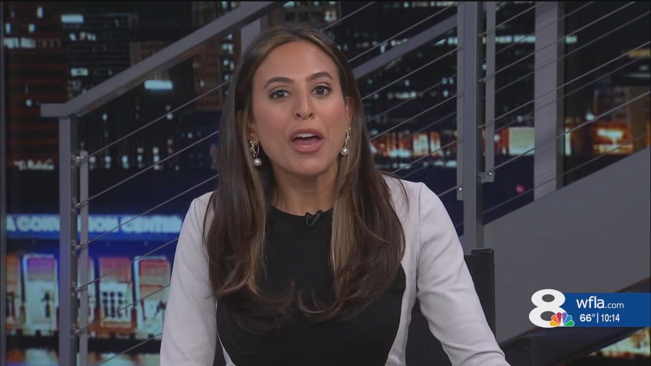 NewsChannel 8 News at 1000pm_20241116_03000330.ts_snapshot_15.15.022