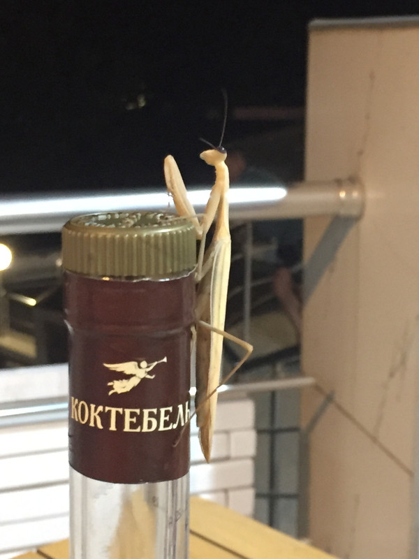 9E0C31EC-5DAC-41FC-8537-00E6A5E44816