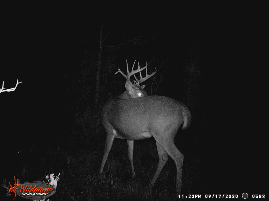 A2D82587-211C-4269-9532-E1FD4FA2AE7D