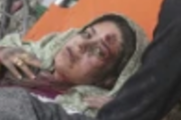 Immagine 2025-04-14 094320 bis