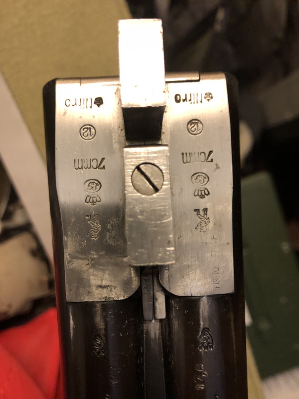 [Linked Image from i.postimg.cc]