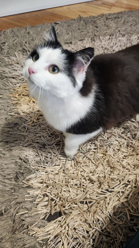 IMG-48ccbac063d727dd869dfed962ab5b0e-V