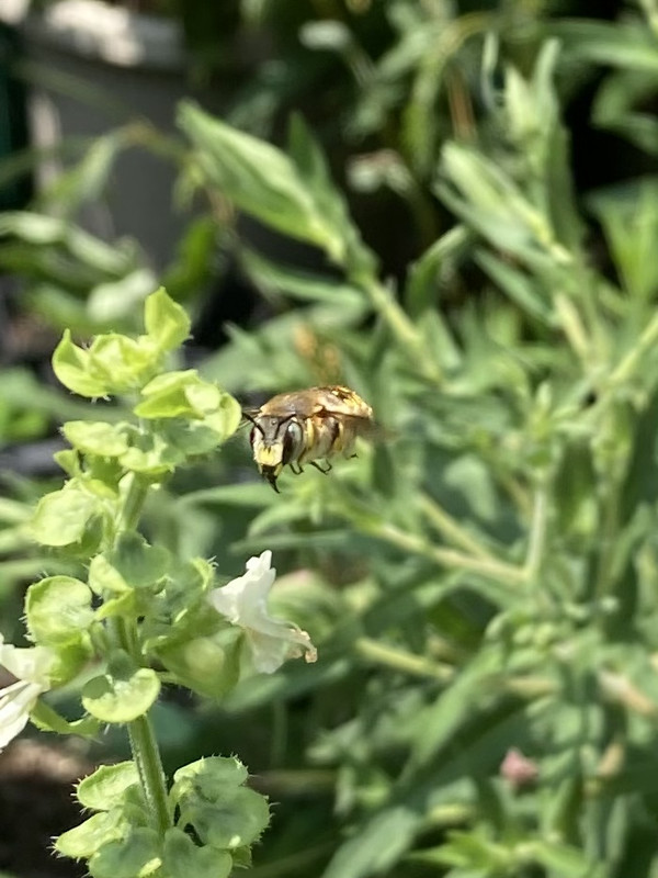 CA6DA323-5624-4C29-9B47-EC3E4292917F