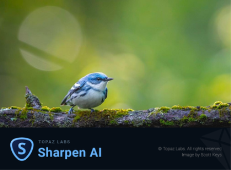 Topaz Sharpen AI v3.1.0 (x64) Portable