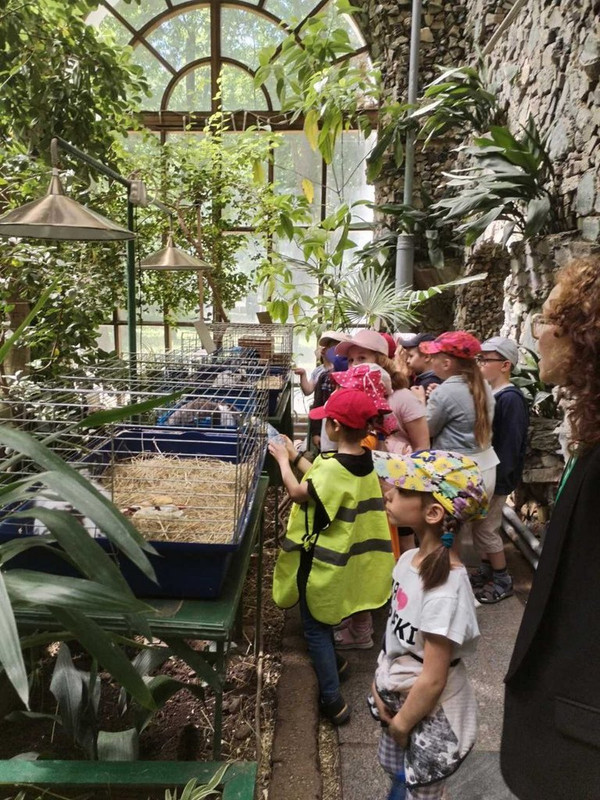 IMG-20230605-075958-270